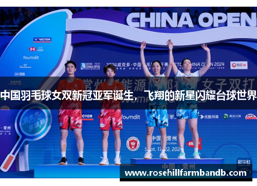 中国羽毛球女双新冠亚军诞生，飞翔的新星闪耀台球世界