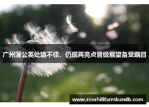 广州蒲公英处境不佳，仍现两亮点晋级展望备受瞩目